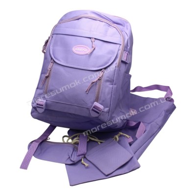 Спортивні рюкзаки 481 purple