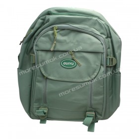 Спортивні рюкзаки 481 light green