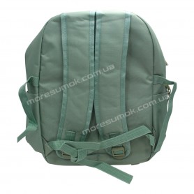 Спортивные рюкзаки 481 light green