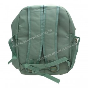 Спортивні рюкзаки 481 light green