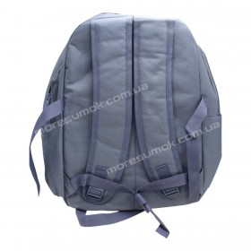Спортивні рюкзаки 481 light blue
