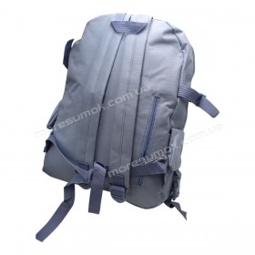 Спортивні рюкзаки 384 light blue