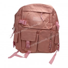 Спортивні рюкзаки 384 pink