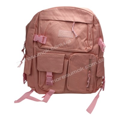 Спортивні рюкзаки 384 pink