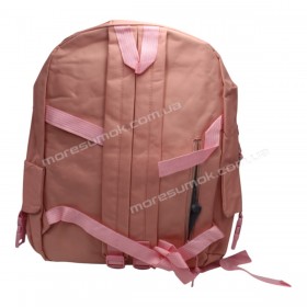 Спортивні рюкзаки 384 pink