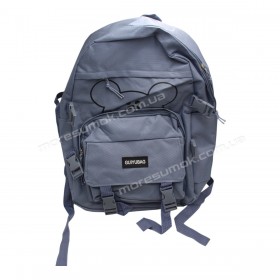 Спортивні рюкзаки 421 light blue