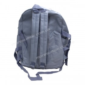 Спортивні рюкзаки 421 light blue