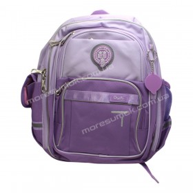 Шкільні ранці N2501-32 purple