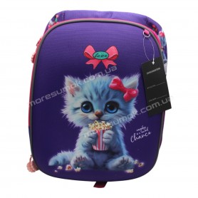 Шкільні ранці Y-14 purple