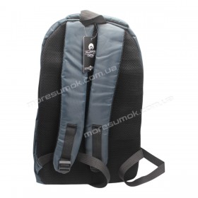 Спортивні рюкзаки 8284 gray