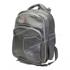 Школьные рюкзаки 7223 gray