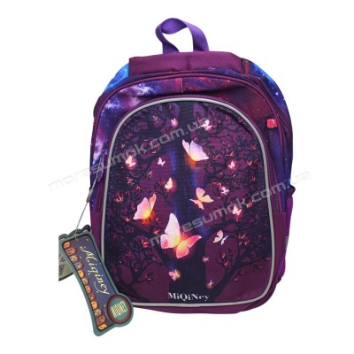 Шкільні ранці 52822 purple