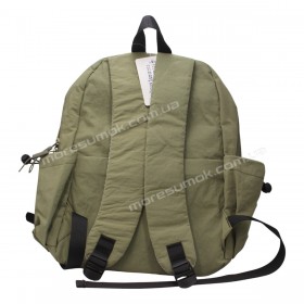 Спортивные рюкзаки E523 green