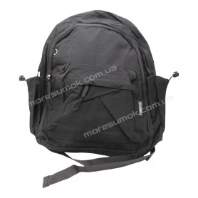Спортивные рюкзаки E523 black