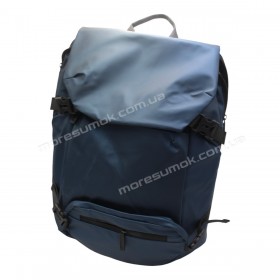 Спортивные рюкзаки 2858 blue