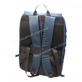Спортивные рюкзаки 2858 blue