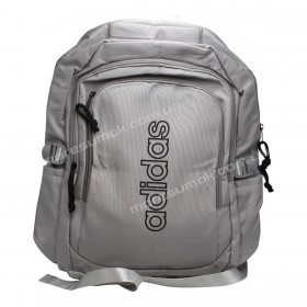 Спортивні рюкзаки 8818 Ad gray