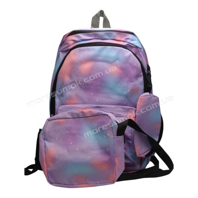 Спортивные рюкзаки 9898 purple