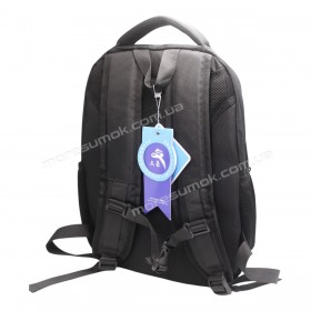 Спортивные рюкзаки 1256 Ni black-black