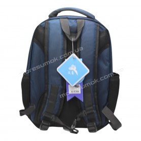 Спортивні рюкзаки 1256 Ni blue