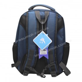 Спортивні рюкзаки 1256 Ni blue