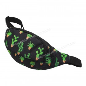 Спортивні бананки xd-01 cactus black