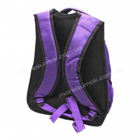 Шкільні ранці 091 purple