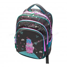Школьные рюкзаки 810-17 black-mint