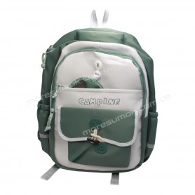 Спортивні рюкзаки S591 light green