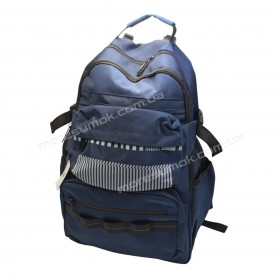 Спортивні рюкзаки 8659 blue