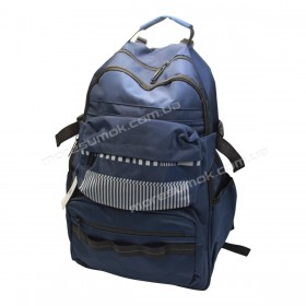 Спортивные рюкзаки 8659 blue