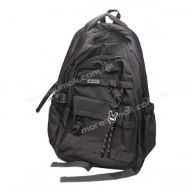 Спортивные рюкзаки 2668 black