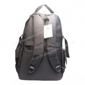 Спортивные рюкзаки 9826 black