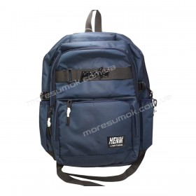 Спортивные рюкзаки 0295 blue