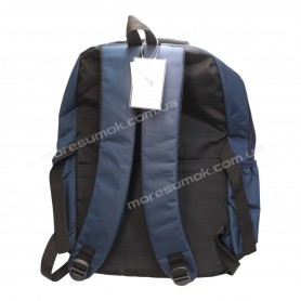 Спортивные рюкзаки 0295 blue