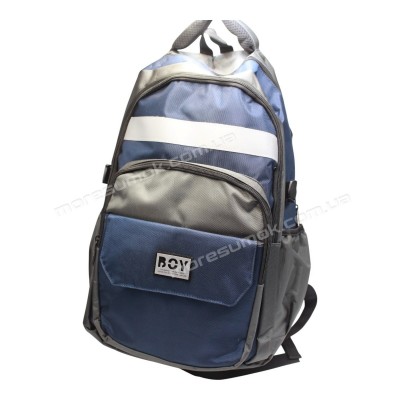 Спортивные рюкзаки 9819 blue