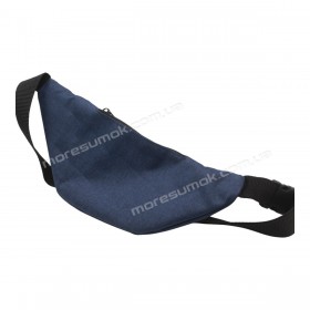 Спортивные бананки fem-016 Re blue