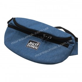 Спортивные бананки fem-030 light blue