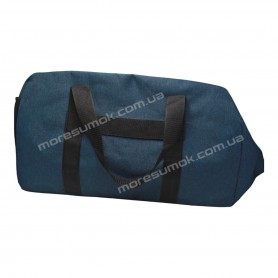 Спортивні сумки 205 Ni blue