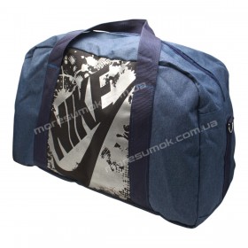 Спортивные сумки 207 Ni blue-silver