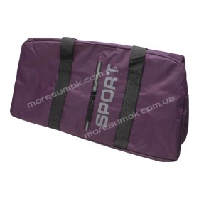 Спортивні сумки 613 purple