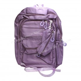 Спортивні рюкзаки FH5506 purple