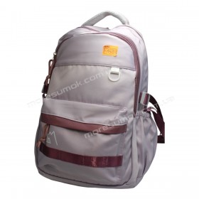 Спортивні рюкзаки FA5007 purple
