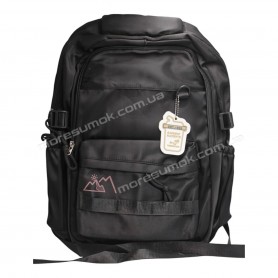 Спортивні рюкзаки FA5007 black