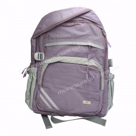Спортивні рюкзаки YL1001 purple