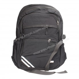 Спортивні рюкзаки YL1001 black