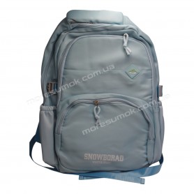 Спортивні рюкзаки FA6605 light blue Спортивні рюкзаки FA6605 light blue