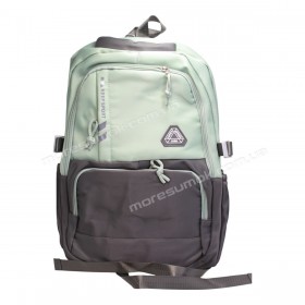 Спортивні рюкзаки FA6609 gray