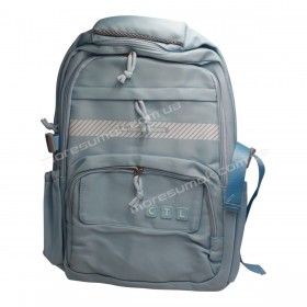 Спортивні рюкзаки FA6603 light blue