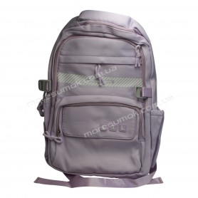 Спортивні рюкзаки FA6603 purple